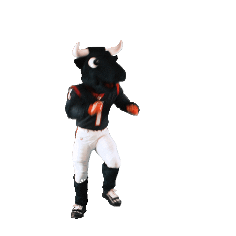 Football Flying Sticker by Houston Texans