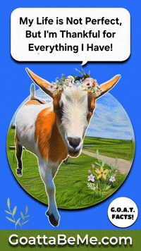 Life Is Good Cute Goats GIF by Goatta Be Me Goats! Adventures of Java, Toffee, Pumpkin and Cookie!