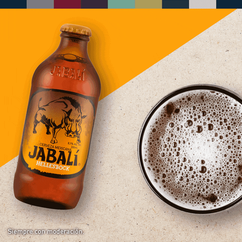 GIF by Cerveceria Primus
