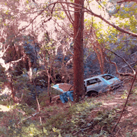 skyline to the sea car GIF by Doctor Popular
