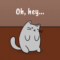 Awkward Entrance Checking In GIF by MESA My Emotional Support Animal