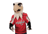 Ice Hockey Sport Sticker by NHL