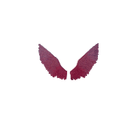 Pink Wings Sticker by PinkDotCafe