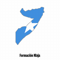 Flag Bandera GIF by Formación Ninja