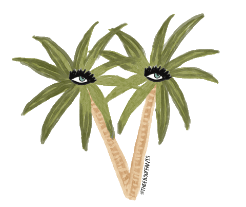 Palm Tree Summer Sticker by Kendra Dandy
