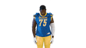 look up delaware football Sticker by Delaware Blue Hens