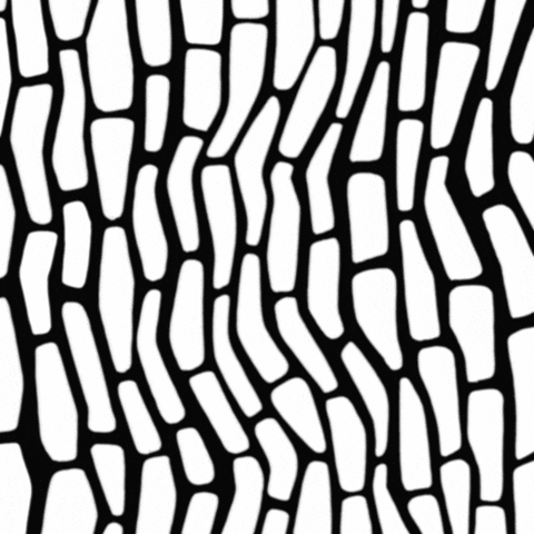 leonkuki giphyupload abstract bw pattern GIF