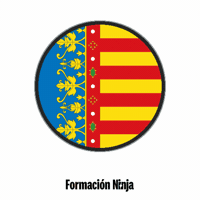 Comunidad Valenciana Flag GIF by Formación Ninja