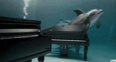 Piano Clubhouse GIF by Gallery.fm