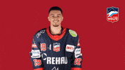 Hockey Pointing GIF by Selber Wölfe