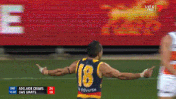 afl giphyupload afl finals aussie rules GIF