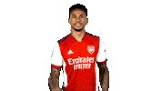 Celebrate London Sticker by Arsenal
