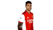 Celebrate London Sticker by Arsenal