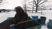 StophouseMusicGroup prof profgampo gampo stophouse GIF