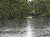 rainy day GIF