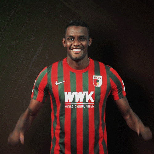 La Pantera Goal GIF by FC Augsburg 1907