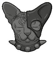 Cat Catwoman Sticker