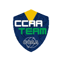 Football Sticker by ccaa
