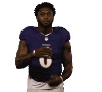 Football Nfl Sticker by Baltimore Ravens