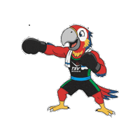 Boxing Sticker by TSV Falkensee e.V.