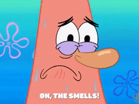 season 6 giant squidward GIF by SpongeBob SquarePants