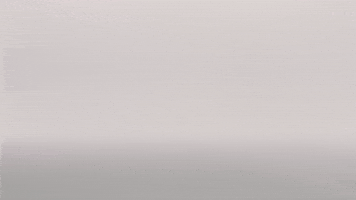 Michael Jordan Shoes GIF by 23XI Racing
