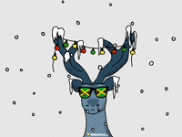 GIF by Reggaeville.com