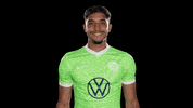 Football Reaction GIF by VfL Wolfsburg