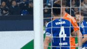 Football Soccer GIF by FC Schalke 04