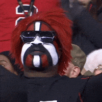 Lets Go Football GIF by Atlanta Falcons
