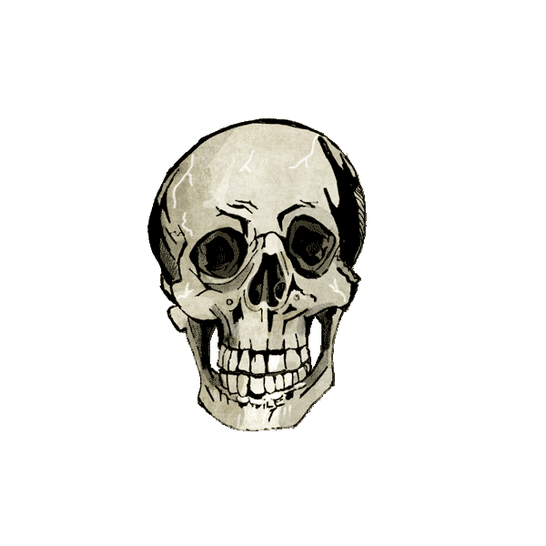 Halloween Illustration Sticker by travelchannel