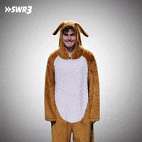 Happy Laugh GIF by SWR3