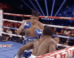 toprank fight fighting espn fighters GIF