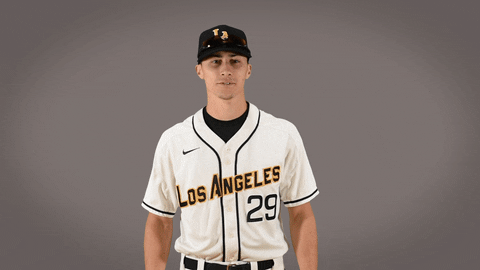Cal State La Baseball GIF by Cal State LA Golden Eagles