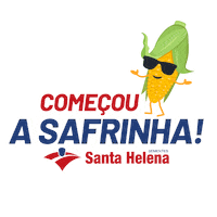 Start Safra Sticker by Santa Helena Sementes