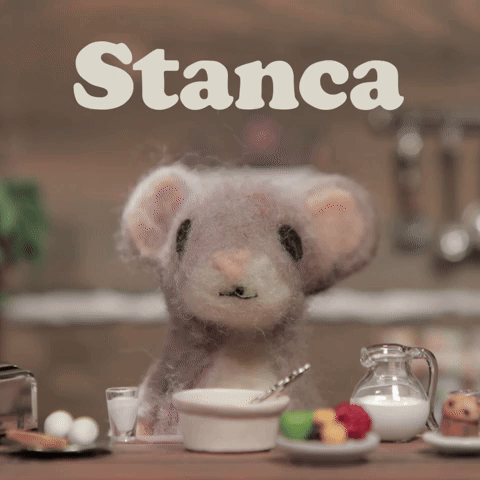 Stanca