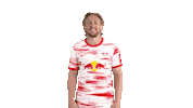 Football Sport Sticker by RB Leipzig