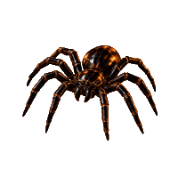 Halloween Spider Sticker by LYMOON 17