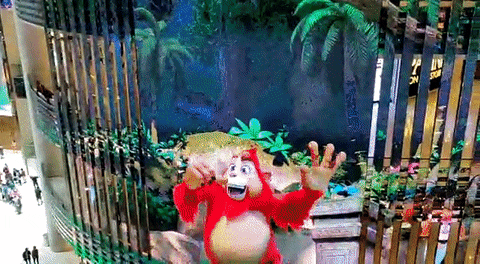 geetmadhukar giphyupload GIF