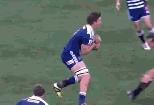 south africa rugby GIF