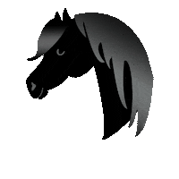 winterlichtmalerei horse competition military pferd Sticker