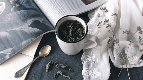 tea breakfast GIF by Daria Khoroshavina