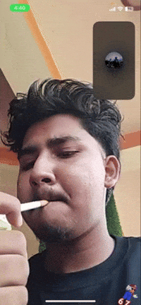Bear Lba GIF