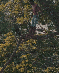 Jumping GIF