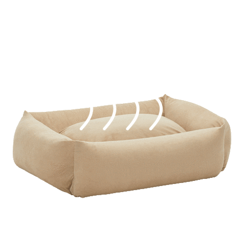 Arrr Sticker by arrr_official