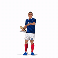 France Football GIF by Panini America