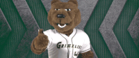 georgia gwinnett grizzlies GIF by Georgia Gwinnett College Athletics