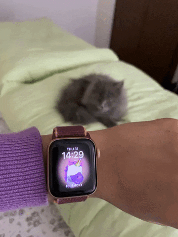 nandiniy giphyupload apple apple watch se watch se GIF
