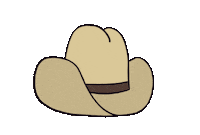 Hat Country Sticker