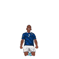 World Cup Football Sticker by Panini America